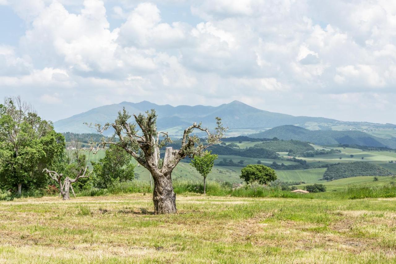 Apartament Dimora Schioppo - Irpinia Calitri Zewnętrze zdjęcie