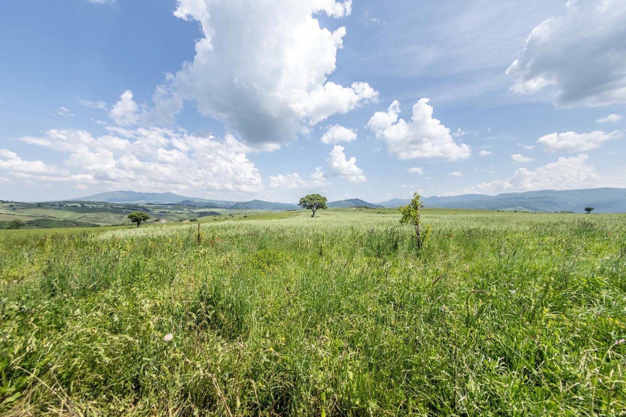 Apartament Dimora Schioppo - Irpinia Calitri Zewnętrze zdjęcie